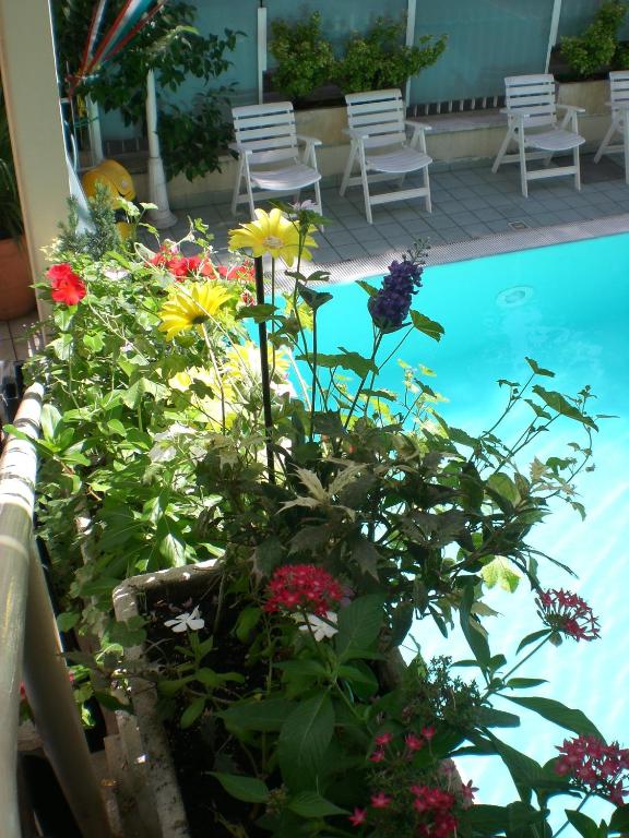 Hotel Arno